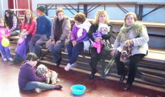 Más de 150 personas en el “Primer Festival Mascotero” Más de 150 personas en el “Primer Festival Mascotero”