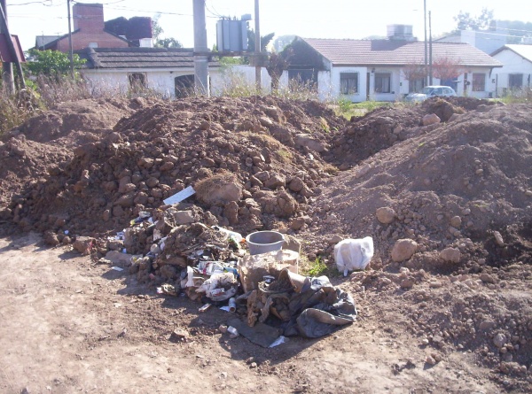 Imagen 010