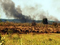 incendio