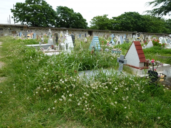 El Cementerio municipal en avanzado estado de abandono
