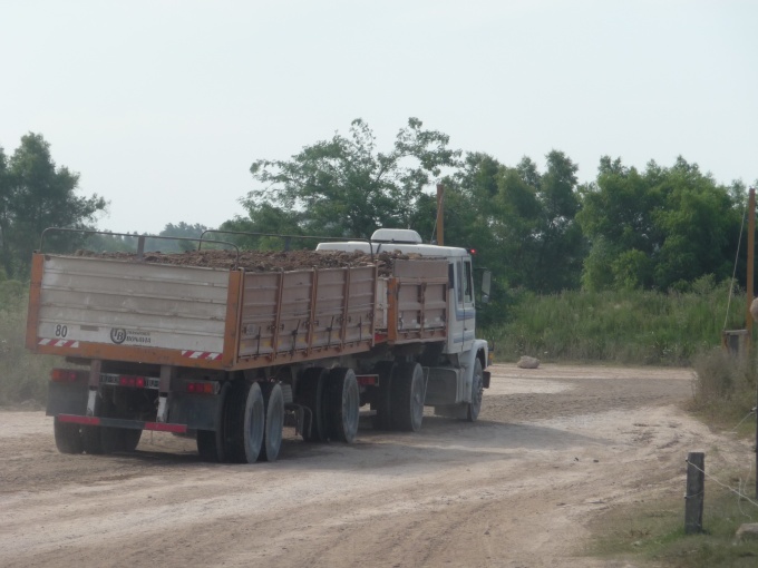 Vecinos siguen reclamando por la tosquera en Ruta 193