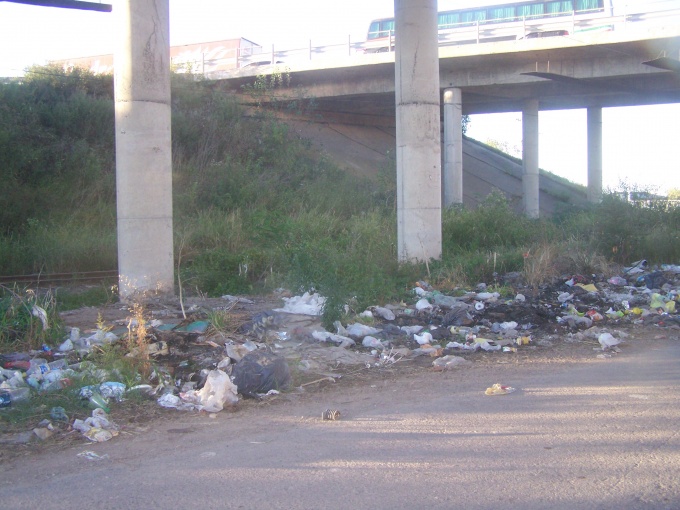 Gran cantidad de basura en el puente de Ruta 9 y Pellegrini.