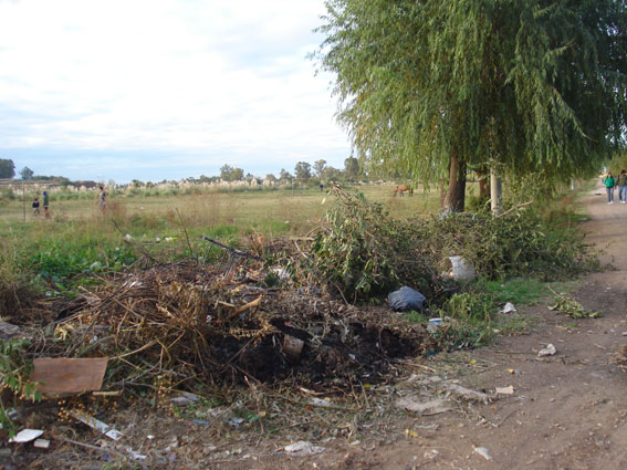 El predio en Barrio Bosch donde reclaman sea tenido en cuenta para viviendas.