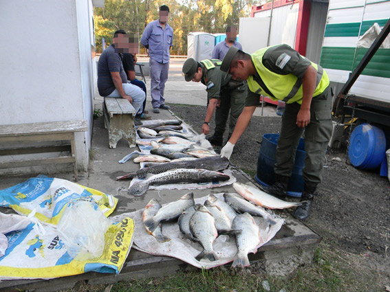 Zarate-Pescados-3