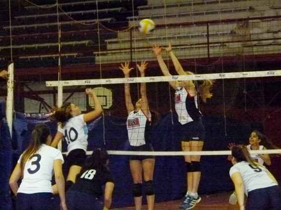voley