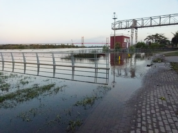 La crecida del Río en la Costanera.
