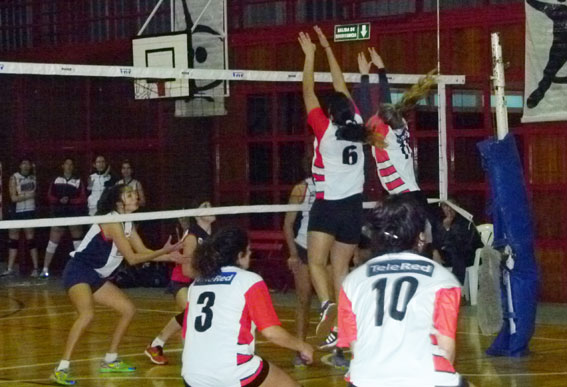 voley