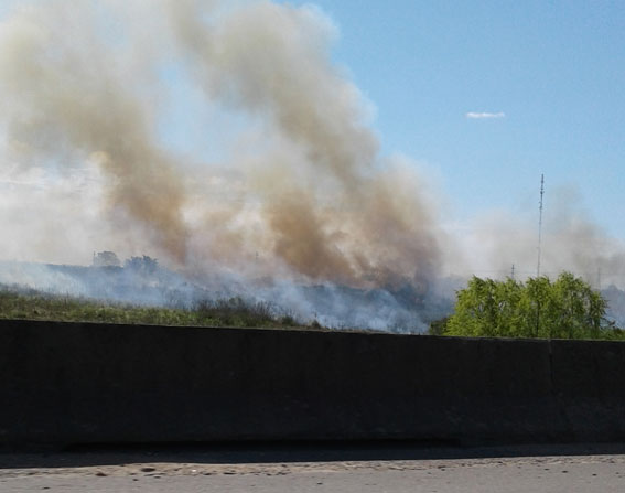 Incendio-pastizales