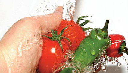 alimentos