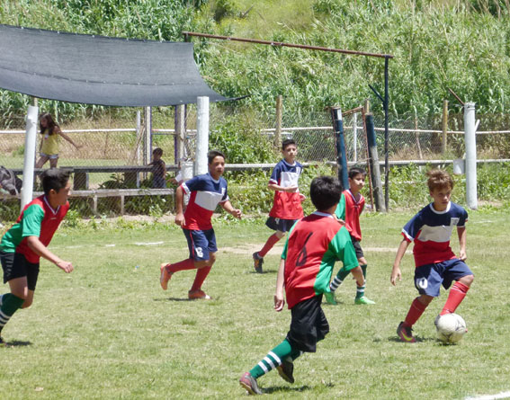 Parcialmente se jugó la fecha del torneo Clausura Infanto Juvenil de la Liga Zarateña.