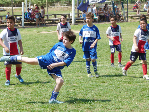 Mañana sábado culminará la temporada 2016 del Infanto Juvenil de la Liga Zarateña.