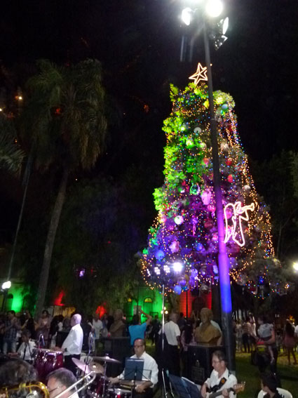 arbol-2