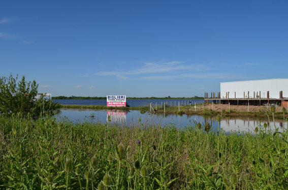 Este parque industrial afecta la zona de humedales.