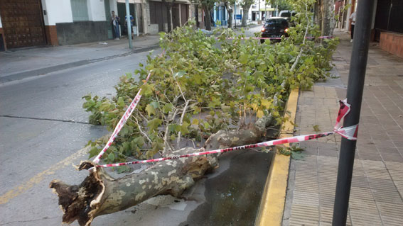 accidente