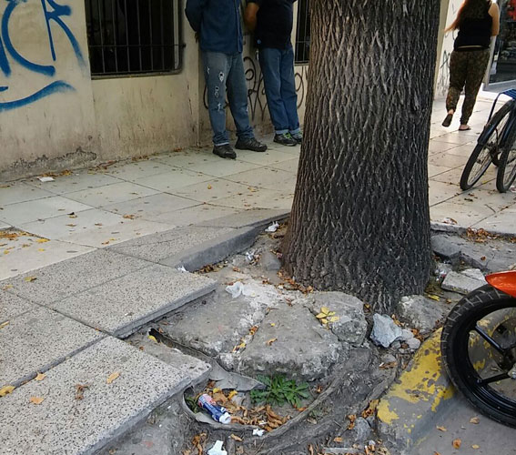Veredas en mal estado, un problema que se acrecienta | La Voz de Zárate