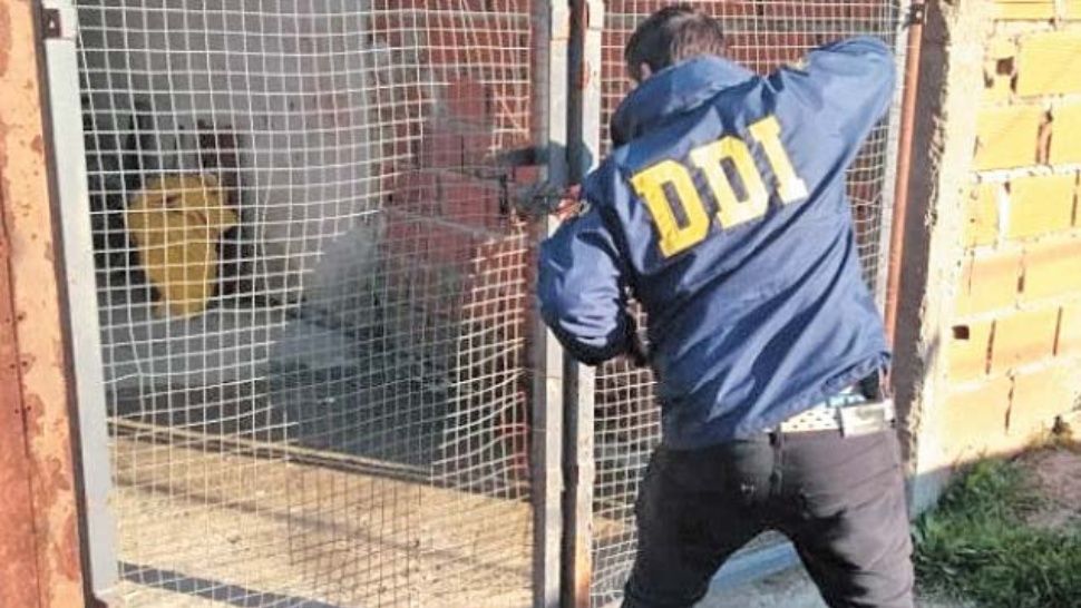 DDI