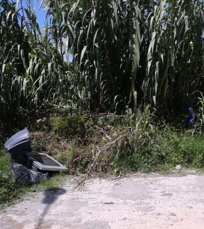 Crece la preocupación de vecinos por basurales con roedores en medio de ...