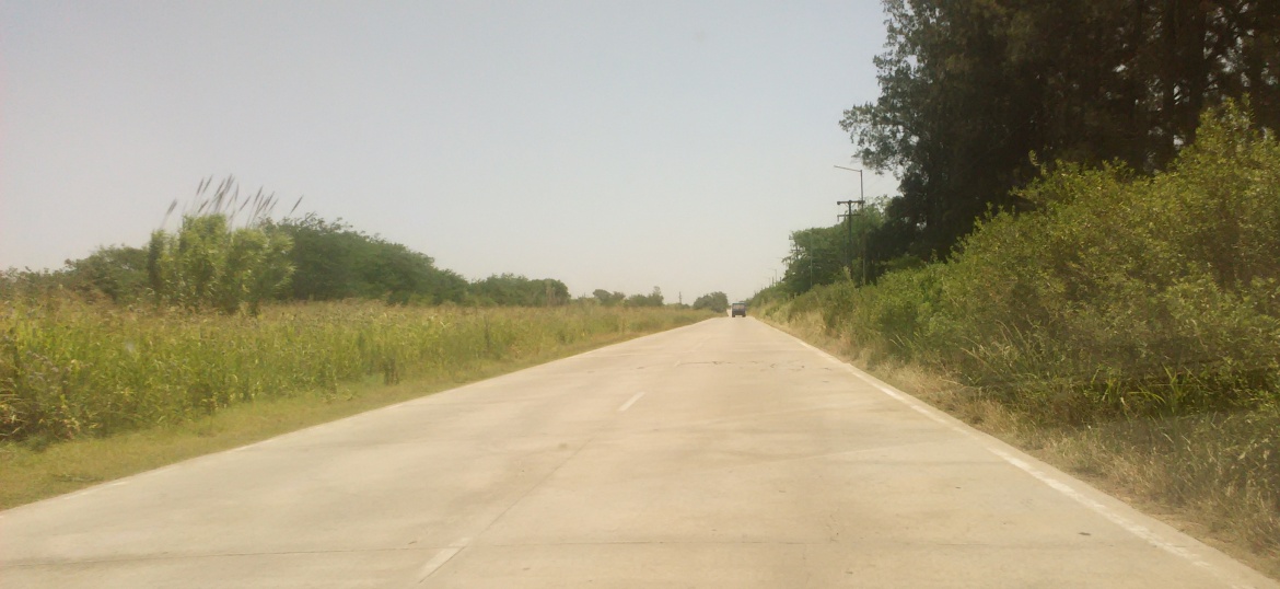 Camino 038-1