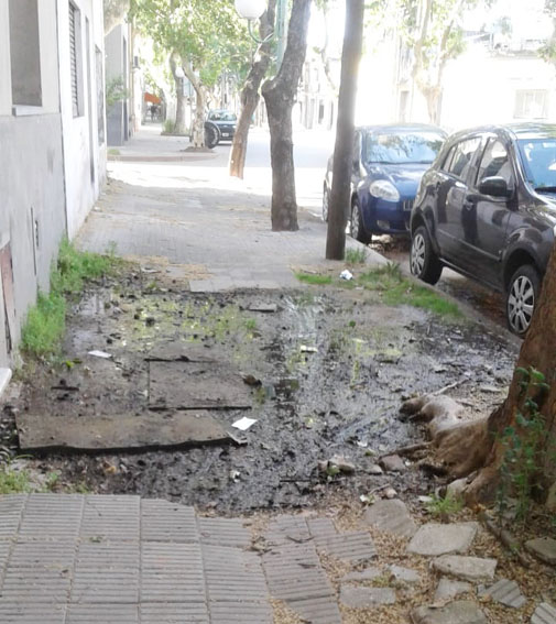Veredas en mal estado | La Voz de Zárate