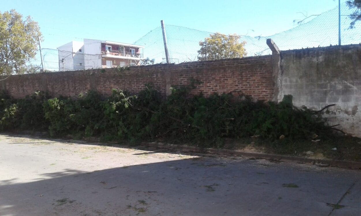 poda