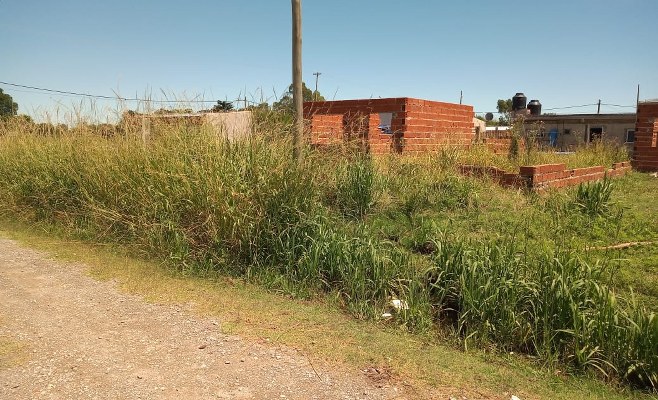 robles1