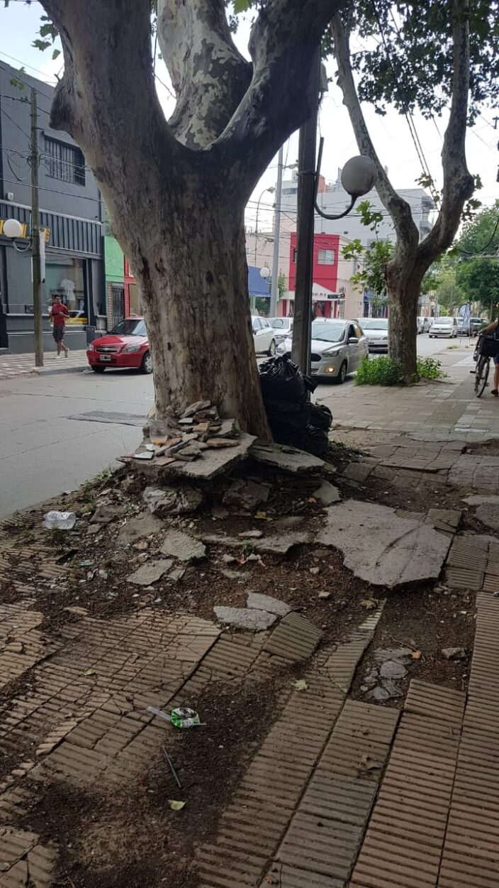 vereda