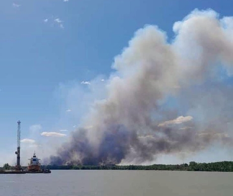Otra vez se registraron incendios forestales en el Delta del Paraná ...