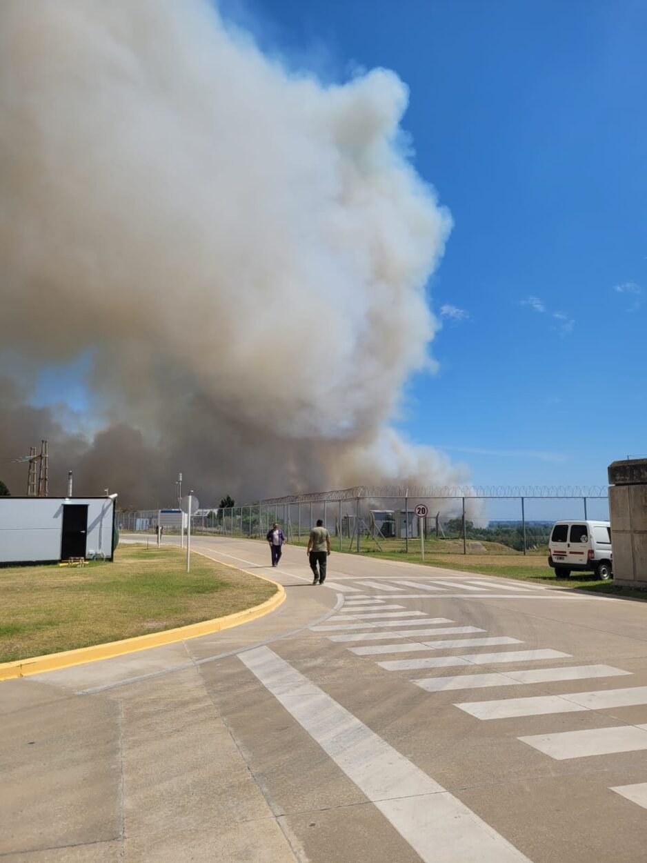 fuego-1