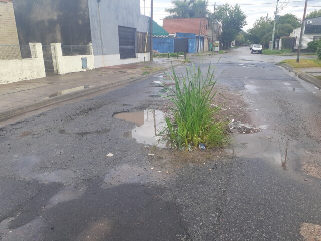 soler