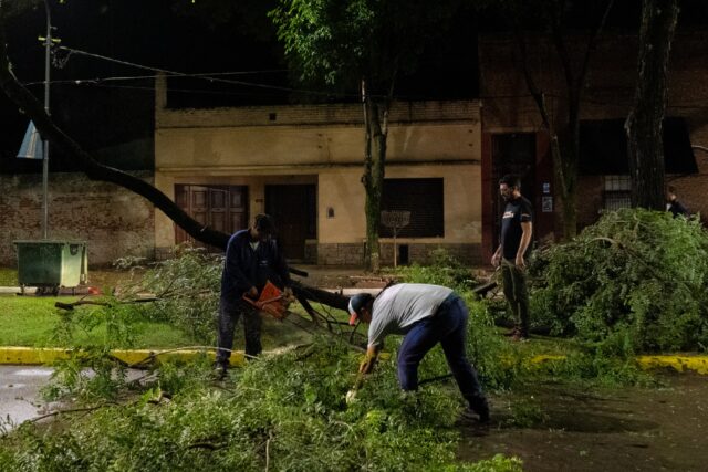 temporal campana