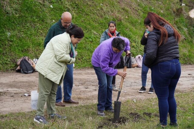 arbol-2