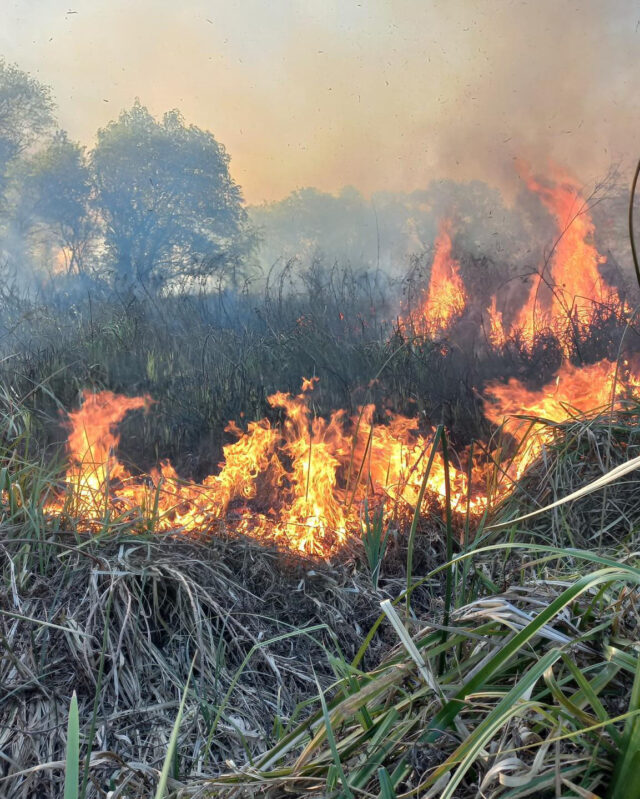 incendio