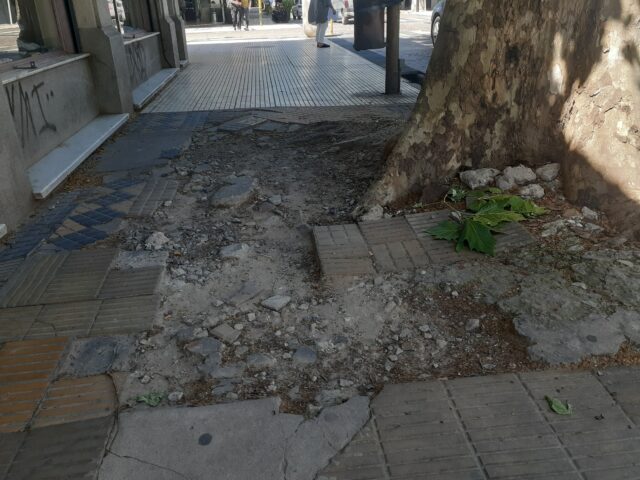 tapa vereda