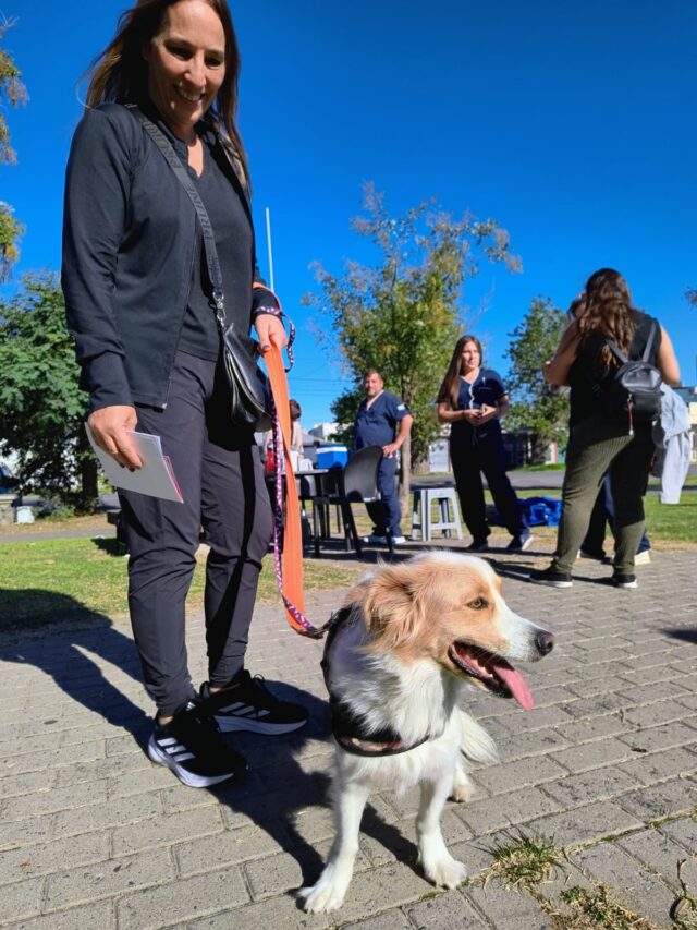 dia del animla