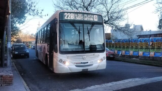 linea 228 2
