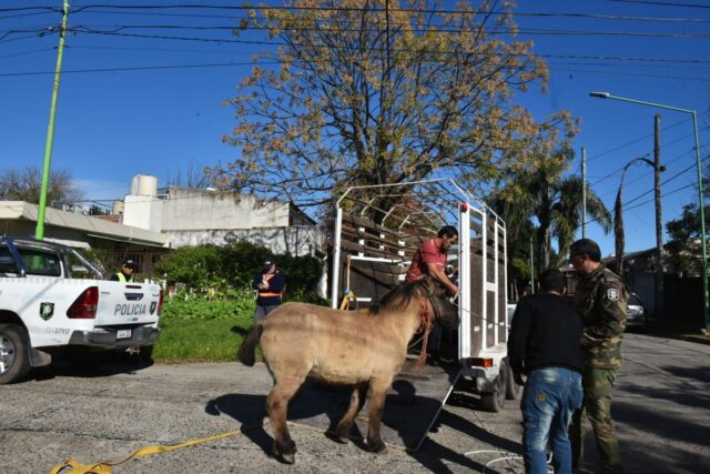 caballo
