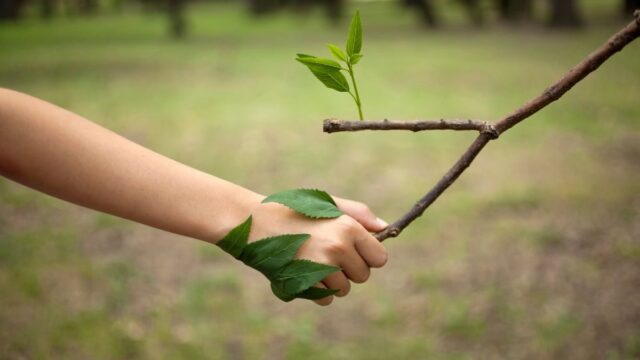medio ambiente