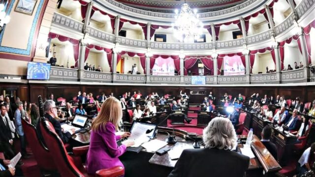 senado