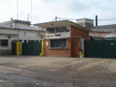 Retiros voluntarios en cerveceras, despidos en Tenaris, tensión en CNEA e incertidumbre en Celulosa