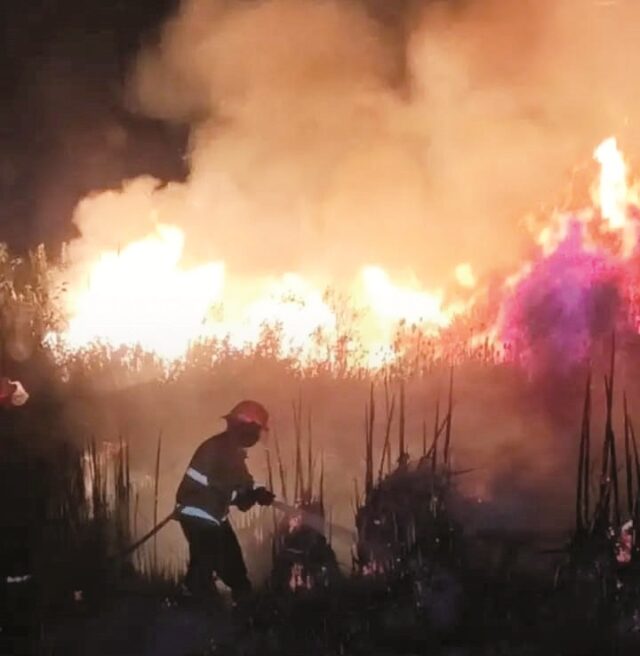 incendios011