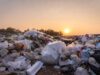El problema de la basura