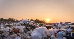 El problema de la basura