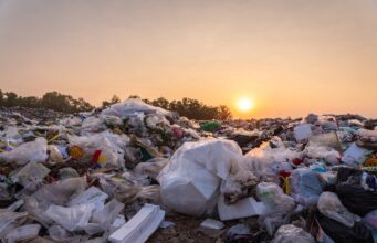 El problema de la basura