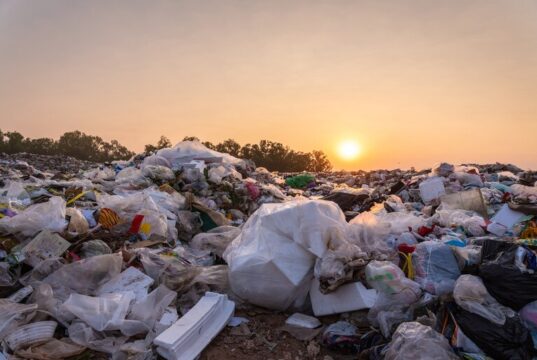 El problema de la basura