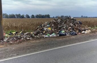 Tratamiento de ordenanzas y diversas cuestiones relacionadas con la educación ambiental