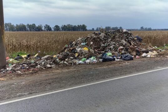 Tratamiento de ordenanzas y diversas cuestiones relacionadas con la educación ambiental