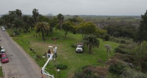 El Municipio realiza trabajos de mantenimiento en el Parque de la Cruz