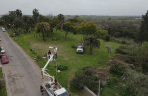 El Municipio realiza trabajos de mantenimiento en el Parque de la Cruz
