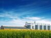 La voz del Campo: Exponen contrastes en realidad productiva de país