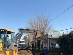 Continúan los trabajos de mantenimiento y mejoramiento en distintos sectores de Lima